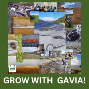 gavia-recruitment-environmental-consultants