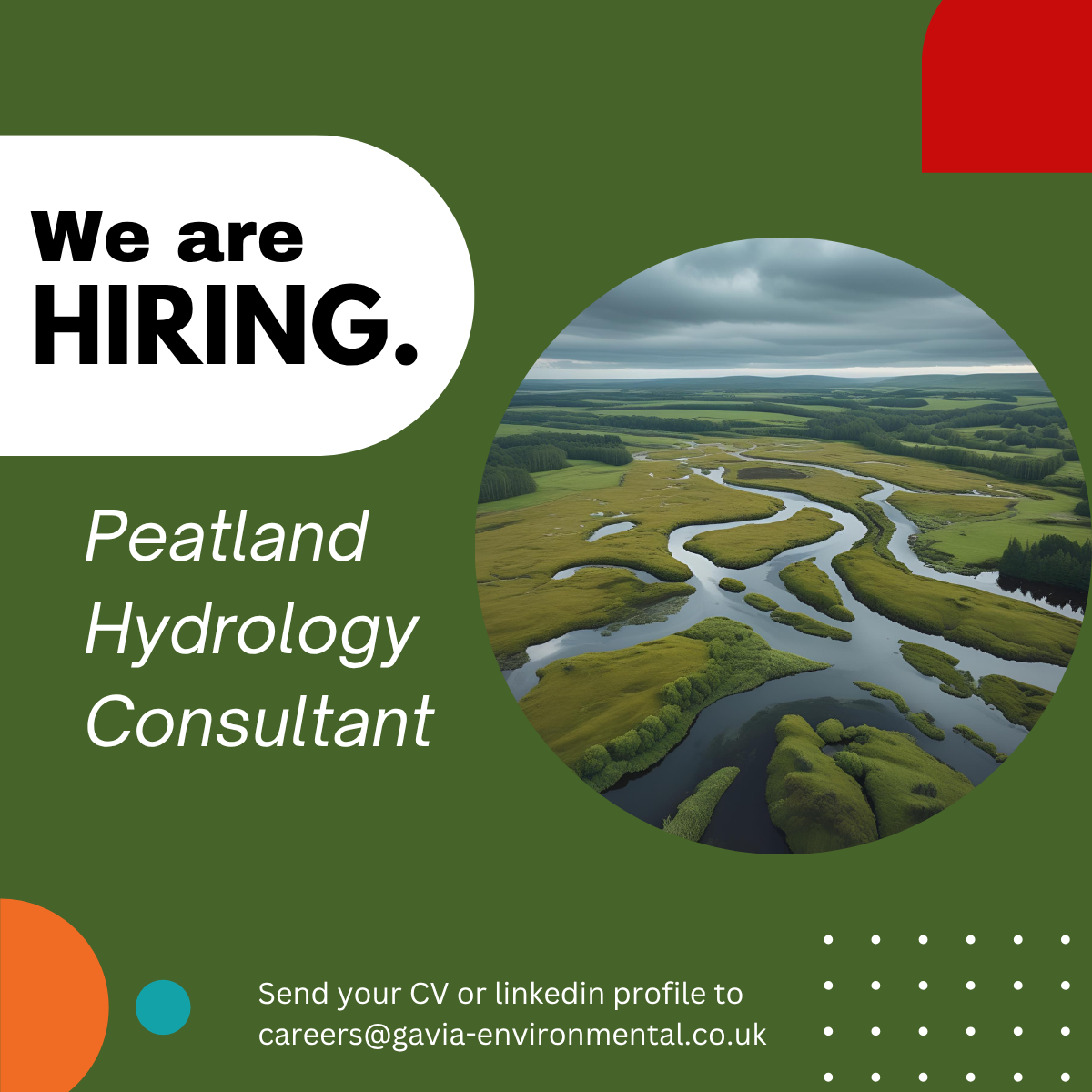 peatland-hydrology-consultant-job-advert